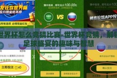 世界杯怎么竞猜比赛-世界杯竞猜，解锁足球盛宴的趣味与智慧