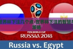 世界杯下注几个点-世界杯下注的智慧与策略