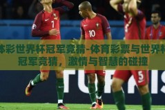 体彩世界杯冠军竞猜-体育彩票与世界杯冠军竞猜，激情与智慧的碰撞
