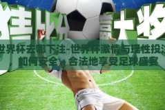 世界杯去哪下注-世界杯激情与理性投注，如何安全、合法地享受足球盛宴