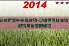 足球世界杯在哪竞猜-足球世界杯竞猜，激情与智慧的碰撞