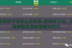 世界杯下注怎么改赔率-世界杯下注，灵活调整赔率的策略与技巧