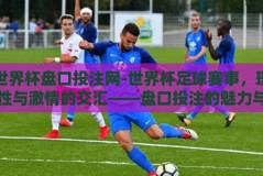 世界杯盘口投注网-世界杯足球赛事，理性与激情的交汇——盘口投注的魅力与挑战