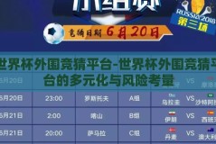 世界杯外围竞猜平台-世界杯外围竞猜平台的多元化与风险考量