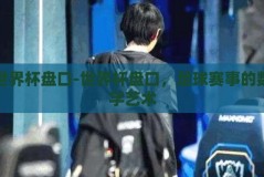世界杯盘口-世界杯盘口，足球赛事的数字艺术