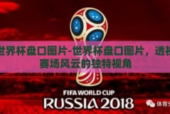 世界杯盘口图片-世界杯盘口图片，透视赛场风云的独特视角
