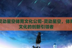 灵动星空体育文化公司-灵动星空，体育文化的创新引领者