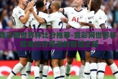 竞彩网世界杯比分推荐-竞彩网世界杯，精准比分预测的智慧之旅