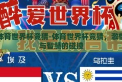 体育世界杯竞猜-体育世界杯竞猜，激情与智慧的碰撞