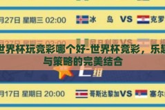 世界杯玩竞彩哪个好-世界杯竞彩，乐趣与策略的完美结合