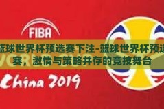 篮球世界杯预选赛下注-篮球世界杯预选赛，激情与策略并存的竞技舞台