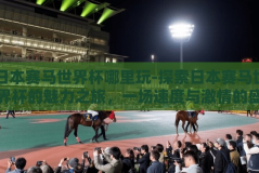 日本赛马世界杯哪里玩-探索日本赛马世界杯的魅力之旅，一场速度与激情的盛宴