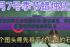 星空体育在线直播视频-星空体育，在线直播视频的璀璨新篇章