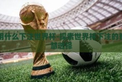 用什么下注世界杯-探索世界杯下注的智慧选择