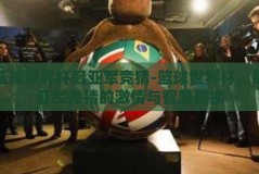 篮球世界杯冠亚军竞猜-篮球世界杯，冠亚军竞猜的激情与智慧碰撞