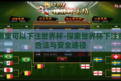 哪里可以下注世界杯-探索世界杯下注的合法与安全途径