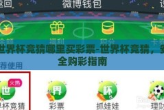 世界杯竞猜哪里买彩票-世界杯竞猜，安全购彩指南