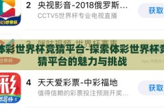 体彩世界杯竞猜平台-探索体彩世界杯竞猜平台的魅力与挑战