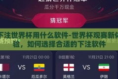 下注世界杯用什么软件-世界杯观赛新体验，如何选择合适的下注软件