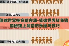 篮球世界杯竞猜在哪-篮球世界杯竞猜，揭秘线上竞猜的乐趣与技巧