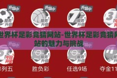 世界杯足彩竞猜网站-世界杯足彩竞猜网站的魅力与挑战