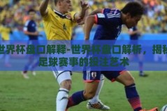 世界杯盘口解释-世界杯盘口解析，揭秘足球赛事的投注艺术