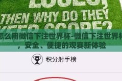 怎么用微信下注世界杯-微信下注世界杯，安全、便捷的观赛新体验