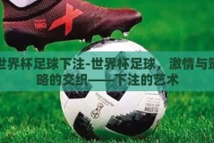 世界杯足球下注-世界杯足球，激情与策略的交织——下注的艺术
