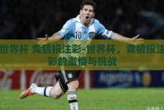 世界杯 竞猜投注彩-世界杯，竞猜投注彩的激情与挑战