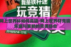 网上世界杯如何竞猜-网上世界杯竞猜，乐趣与策略的完美结合