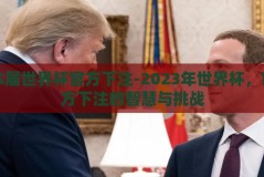 本届世界杯官方下注-2023年世界杯，官方下注的智慧与挑战