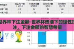 世界杯下注金额-世界杯热潮下的理性投注，下注金额的智慧考量