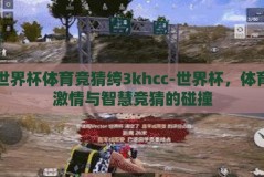 世界杯体育竞猜绔3khcc-世界杯，体育激情与智慧竞猜的碰撞