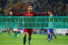 在哪里能下注世界杯-探索世界杯下注的合法与安全途径