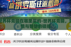 世界杯竞猜在哪里买的-世界杯竞猜，激情与智慧的碰撞