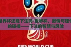 世界杯还能下注吗-世界杯，激情与理性的碰撞——下注的智慧与风险