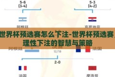 世界杯预选赛怎么下注-世界杯预选赛，理性下注的智慧与策略