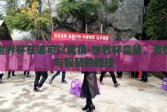世界杯在哪可以竞猜-世界杯竞猜，激情与智慧的碰撞