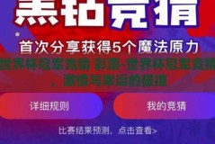 世界杯冠军竞猜 彩票-世界杯冠军竞猜，激情与幸运的碰撞