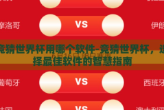 竞猜世界杯用哪个软件-竞猜世界杯，选择最佳软件的智慧指南