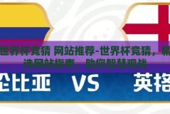 世界杯竞猜 网站推荐-世界杯竞猜，精选网站指南，助您智慧观战