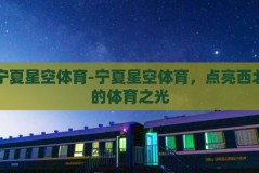 宁夏星空体育-宁夏星空体育，点亮西北的体育之光