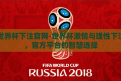 世界杯下注官网-世界杯激情与理性下注，官方平台的智慧选择