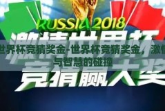 世界杯竞猜奖金-世界杯竞猜奖金，激情与智慧的碰撞