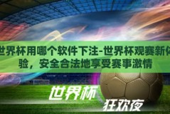 世界杯用哪个软件下注-世界杯观赛新体验，安全合法地享受赛事激情