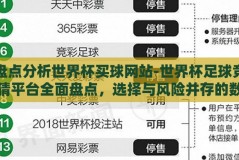 盘点分析世界杯买球网站-世界杯足球竞猜平台全面盘点，选择与风险并存的数字娱乐