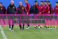 卡塔尔世界杯盘口分析-卡塔尔世界杯，盘口分析的深度洞察