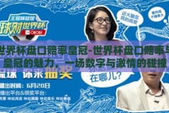 世界杯盘口赔率皇冠-世界杯盘口赔率与皇冠的魅力，一场数字与激情的碰撞