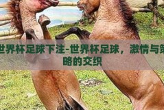 世界杯足球下注-世界杯足球，激情与策略的交织