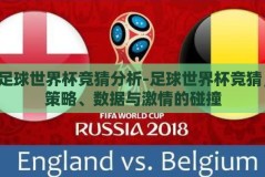 足球世界杯竞猜分析-足球世界杯竞猜，策略、数据与激情的碰撞